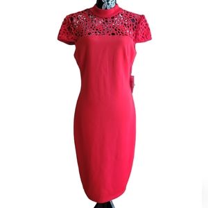 NWT Premier Amour A-line Womens Dress Size 10